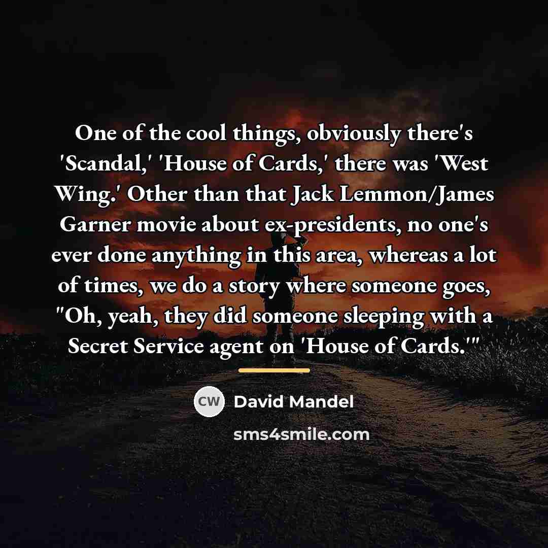 “One of the cool things, obviously there's 'Scandal,' 'House of…” quote by David Mandel