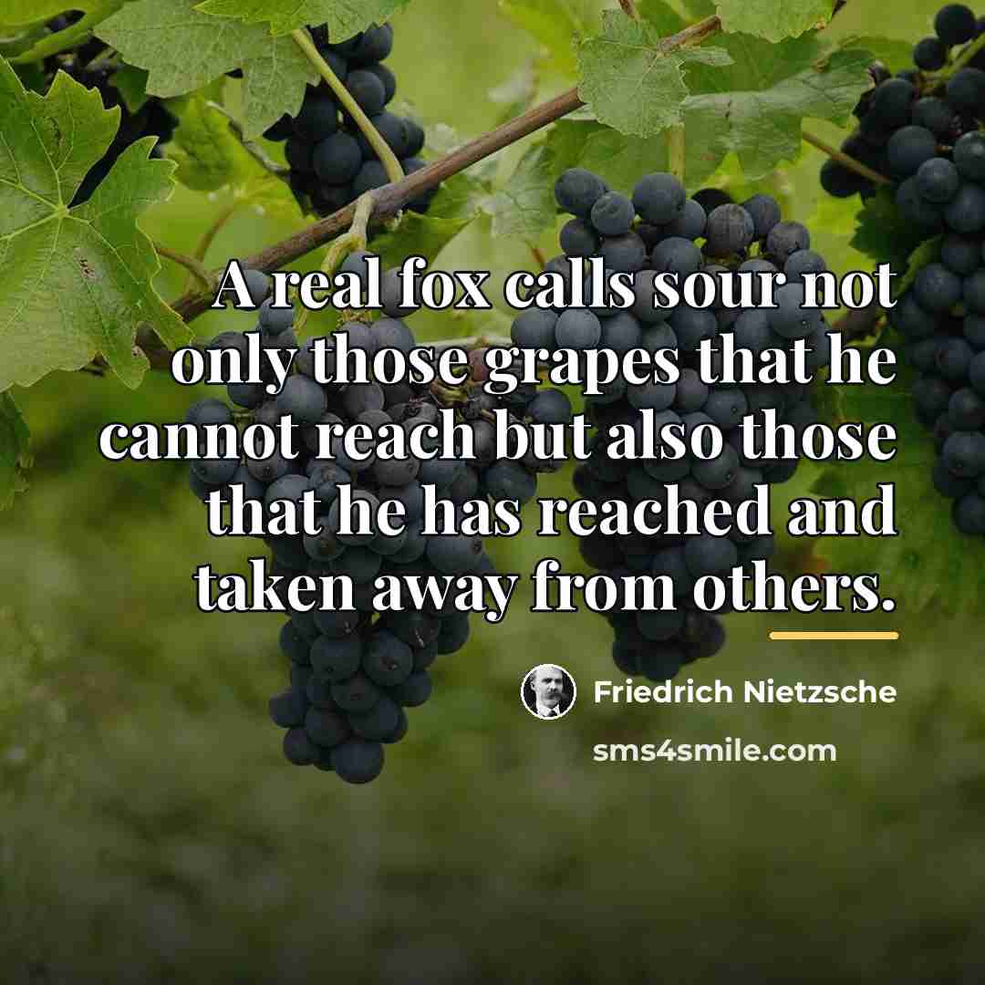 “A real fox calls sour not only those grapes that…” quote by Friedrich Nietzsche