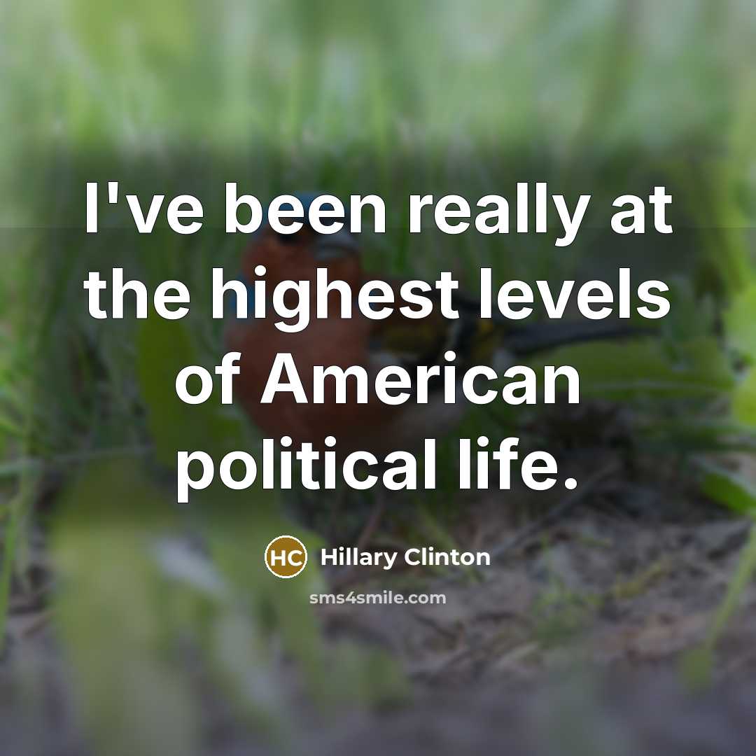 “I've been really at the highest levels of American political…” quote by Hillary Clinton