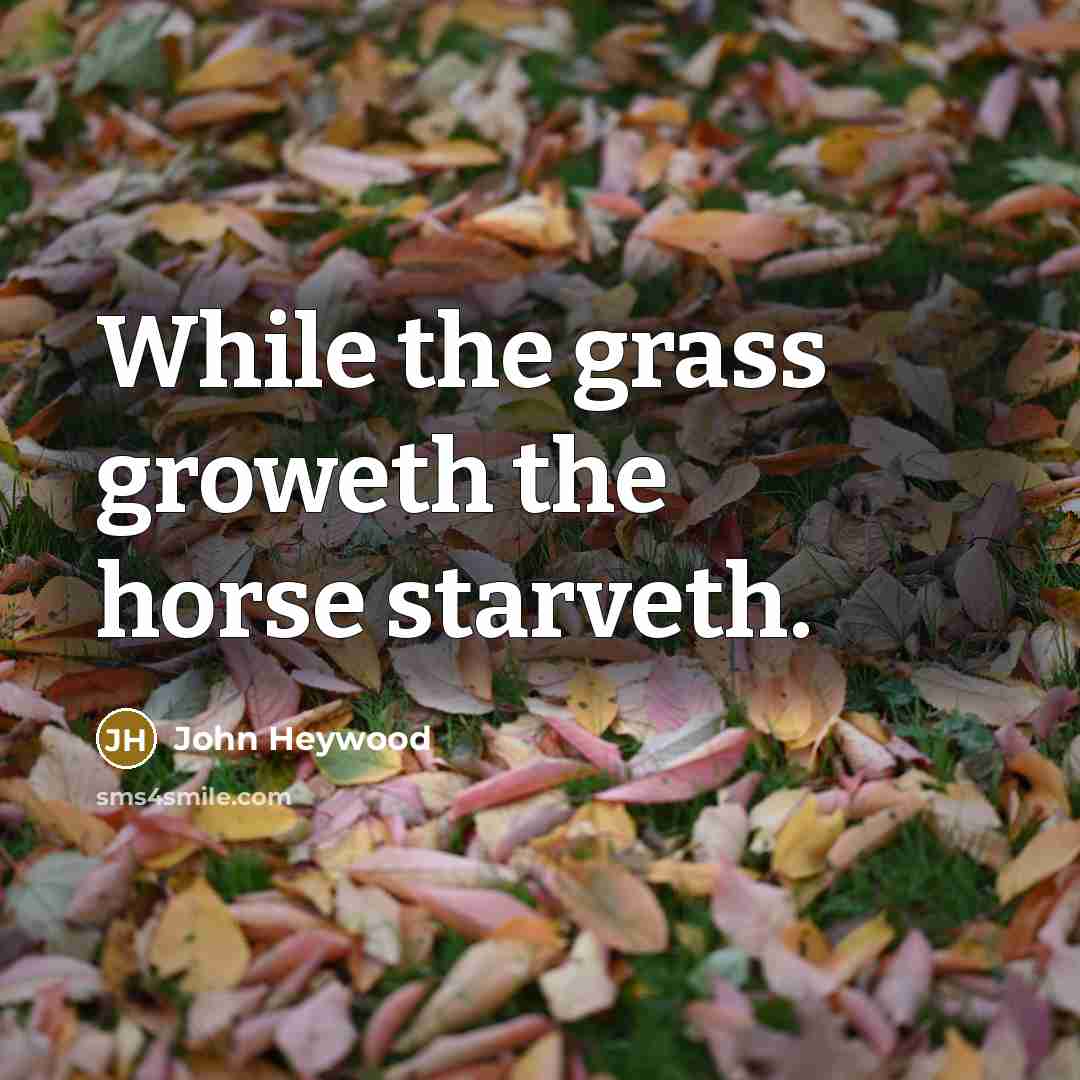 “While the grass groweth the horse starveth.…” quote by John Heywood