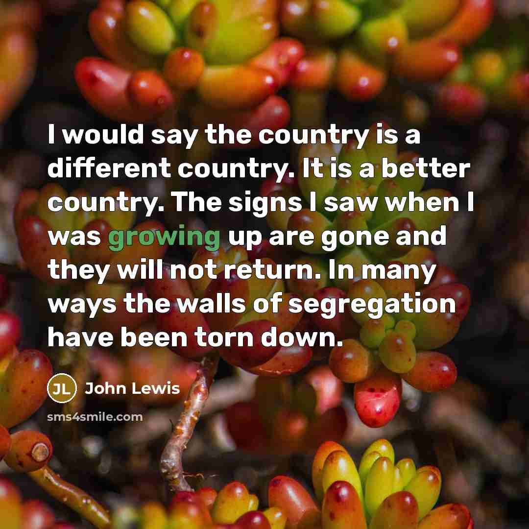 “I would say the country is a different country. It…” quote by John Lewis