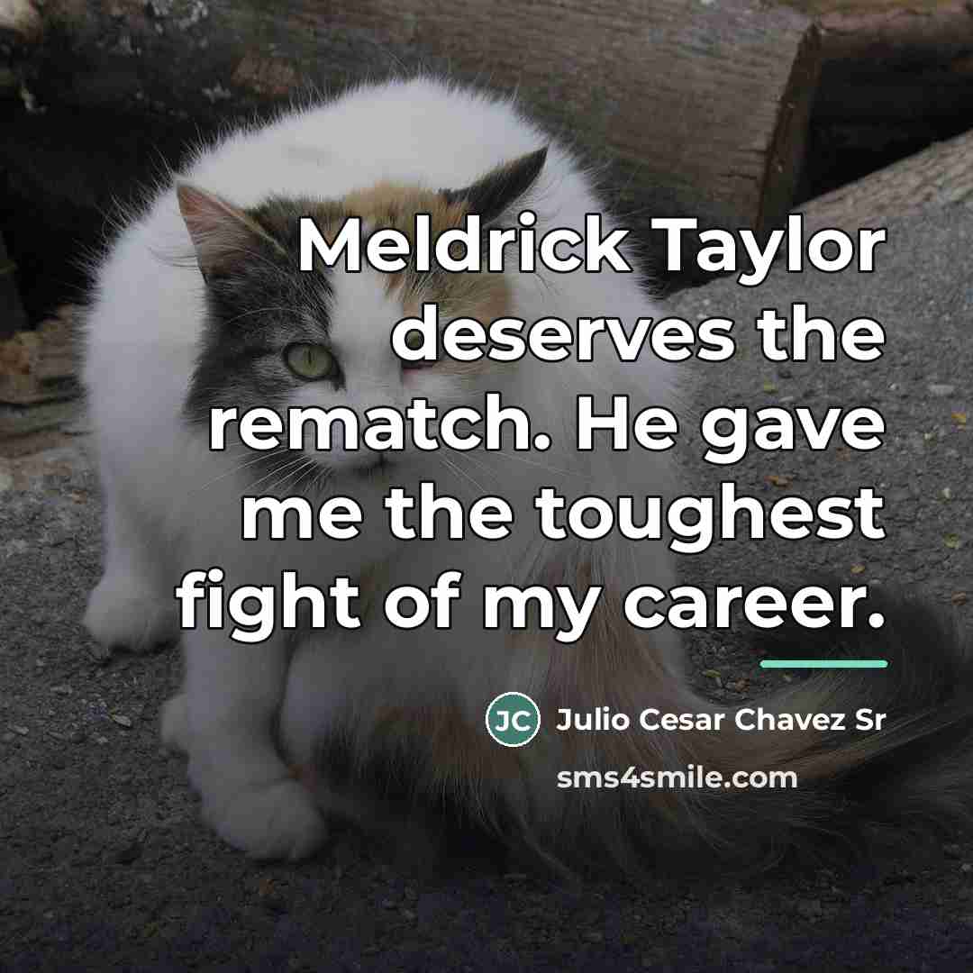 “Meldrick Taylor deserves the rematch. He gave me the toughest…” quote by Julio Cesar Chavez Sr