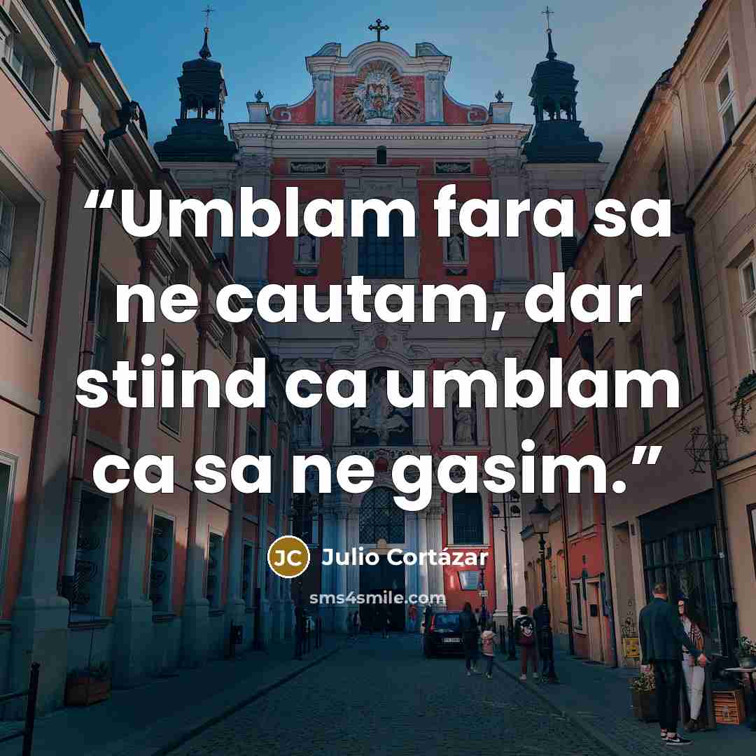 “Umblam fara sa ne cautam, dar stiind ca umblam ca sa ne gasim.” quote by Julio Cortázar