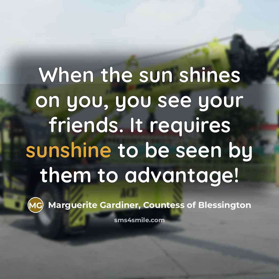 “When the sun shines on you, you see your friends.…” quote by Marguerite Gardiner, Countess of Blessington