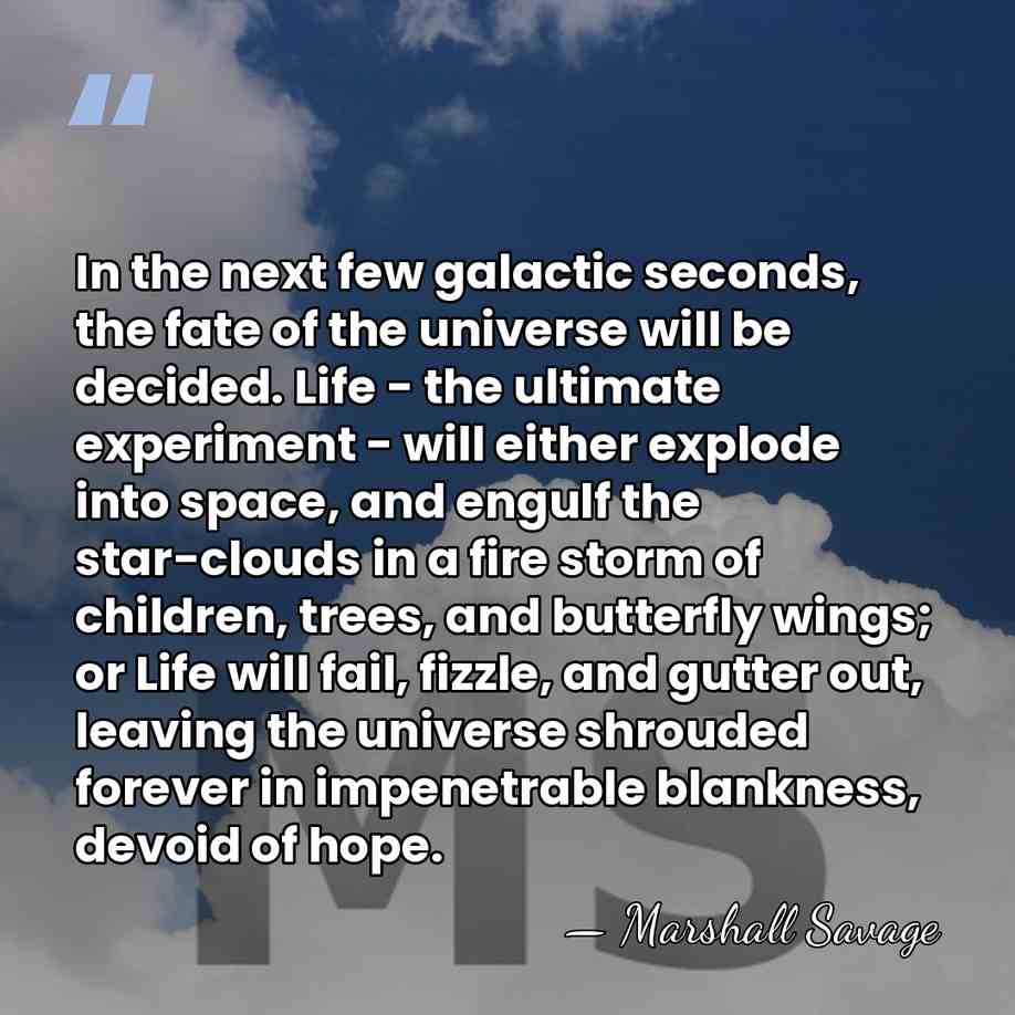 In the next few galactic seconds, the fate of the universe will&hellip; - Marshall Savage