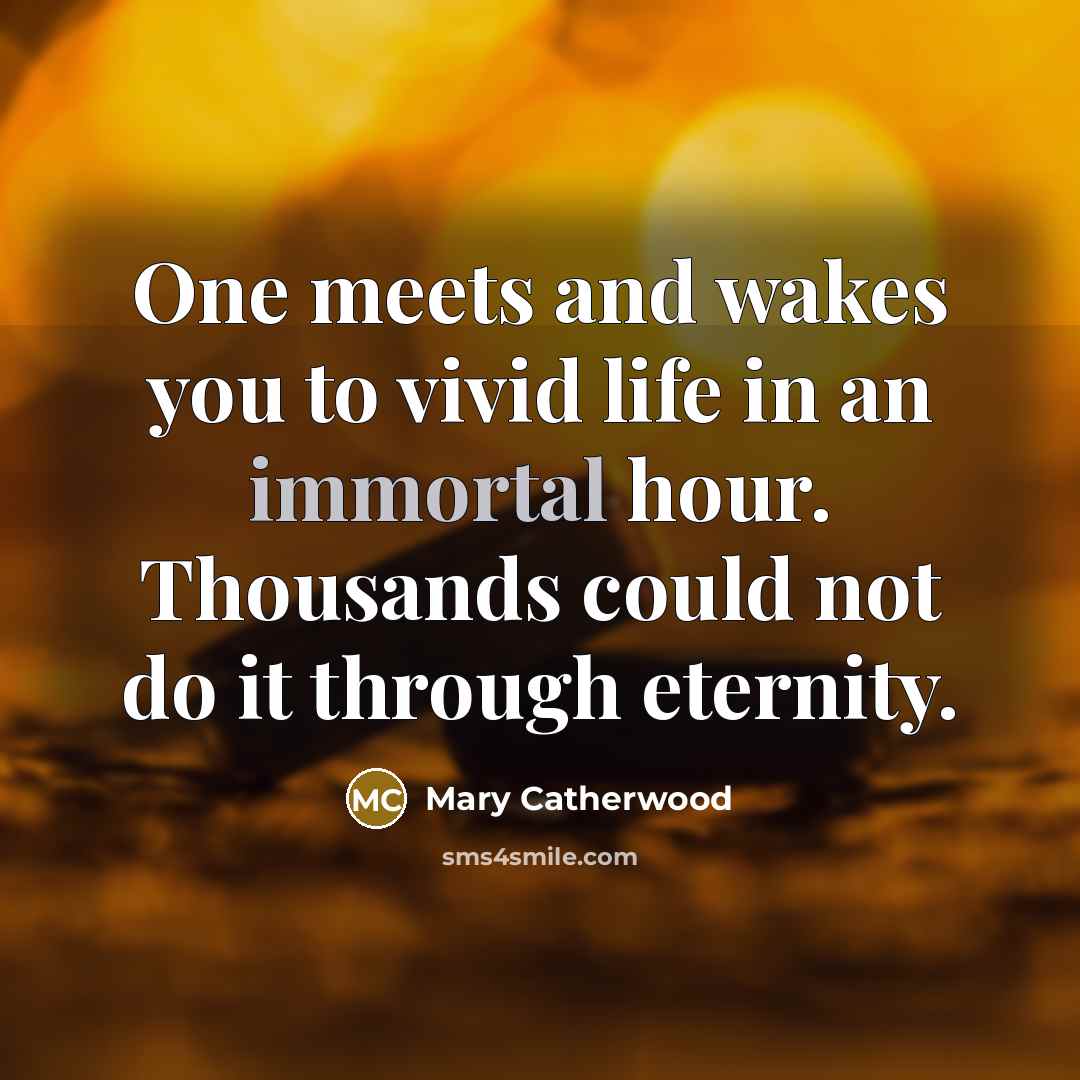 “One meets and wakes you to vivid life in an…” quote by Mary Catherwood