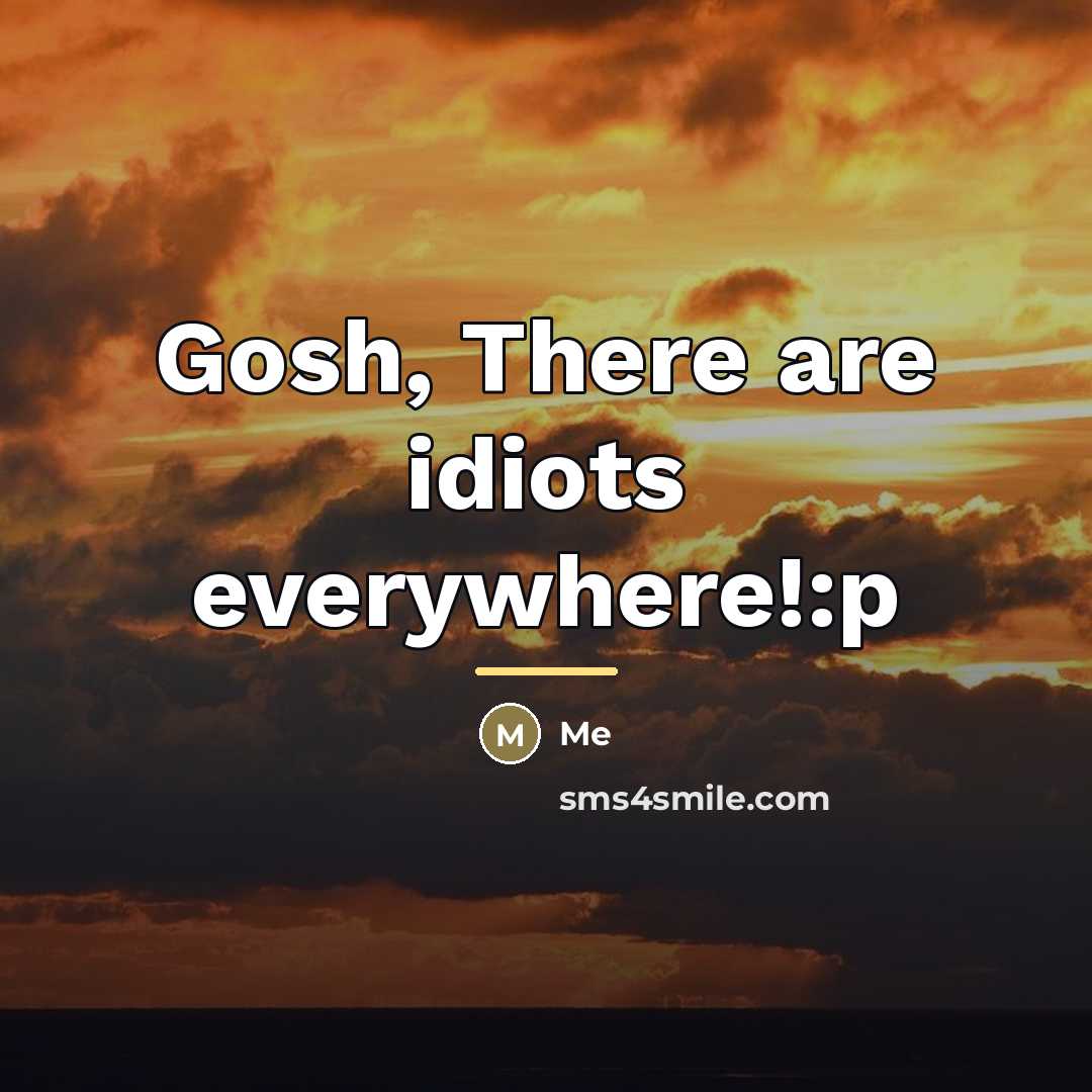“Gosh, There are idiots everywhere!:p…” quote by Me