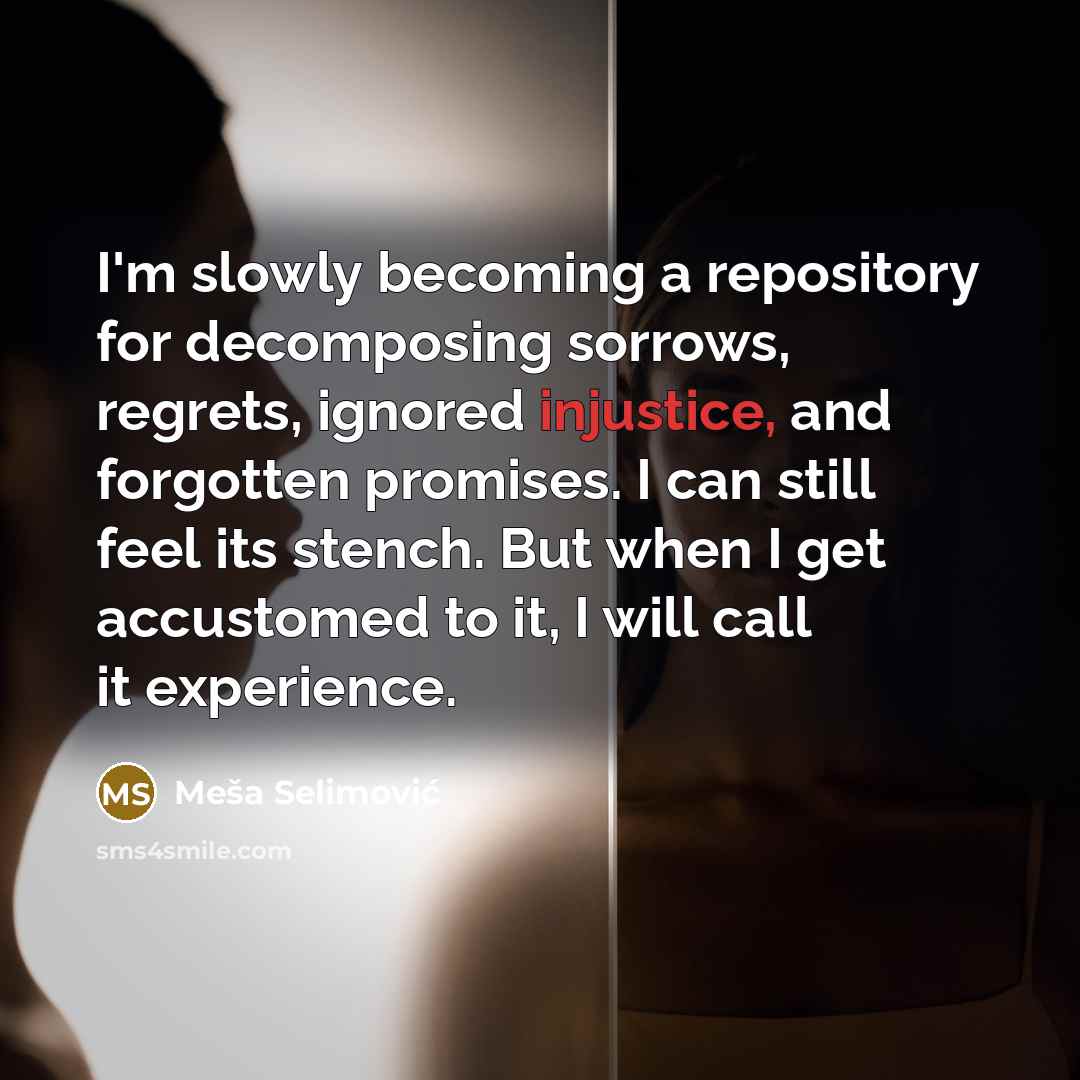 “I'm slowly becoming a repository for decomposing sorrows, regrets, ignored…” quote by Mesa Selimovic