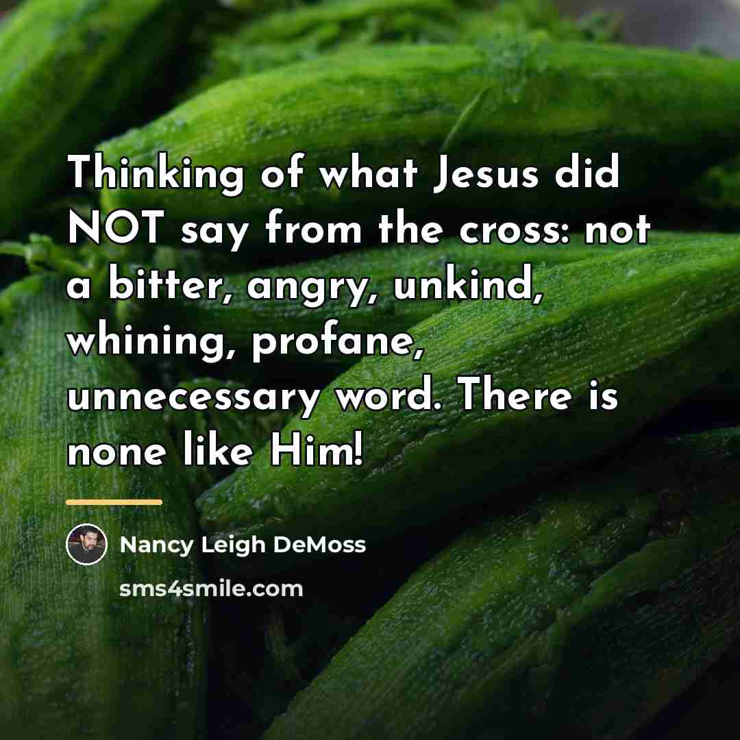 “Thinking of what Jesus did NOT say from the cross:…” quote by Nancy Leigh DeMoss