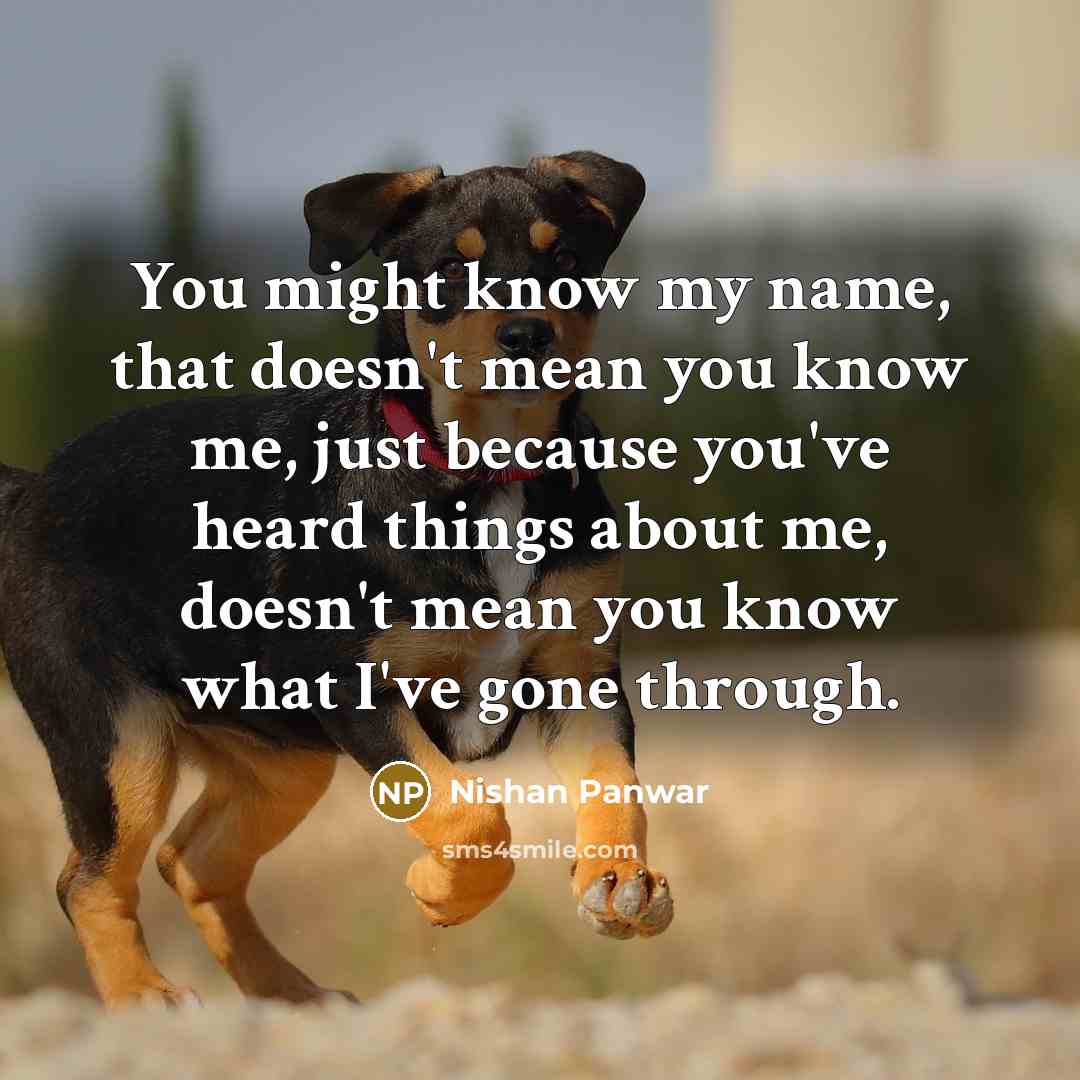 “You might know my name, that doesn't mean you know…” quote by Nishan Panwar