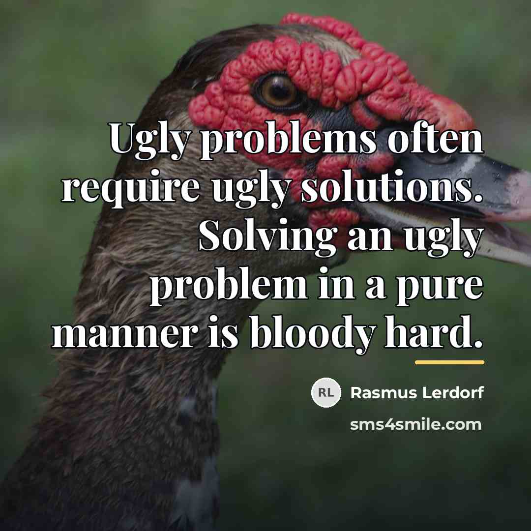 “Ugly problems often require ugly solutions. Solving an ugly problem…” quote by Rasmus Lerdorf