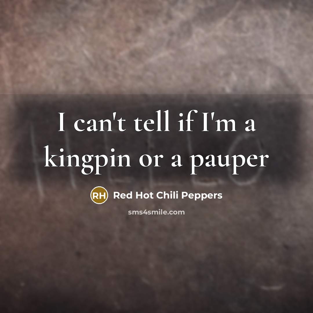 “I can't tell if I'm a kingpin or a pauper” quote by Red Hot Chili Peppers