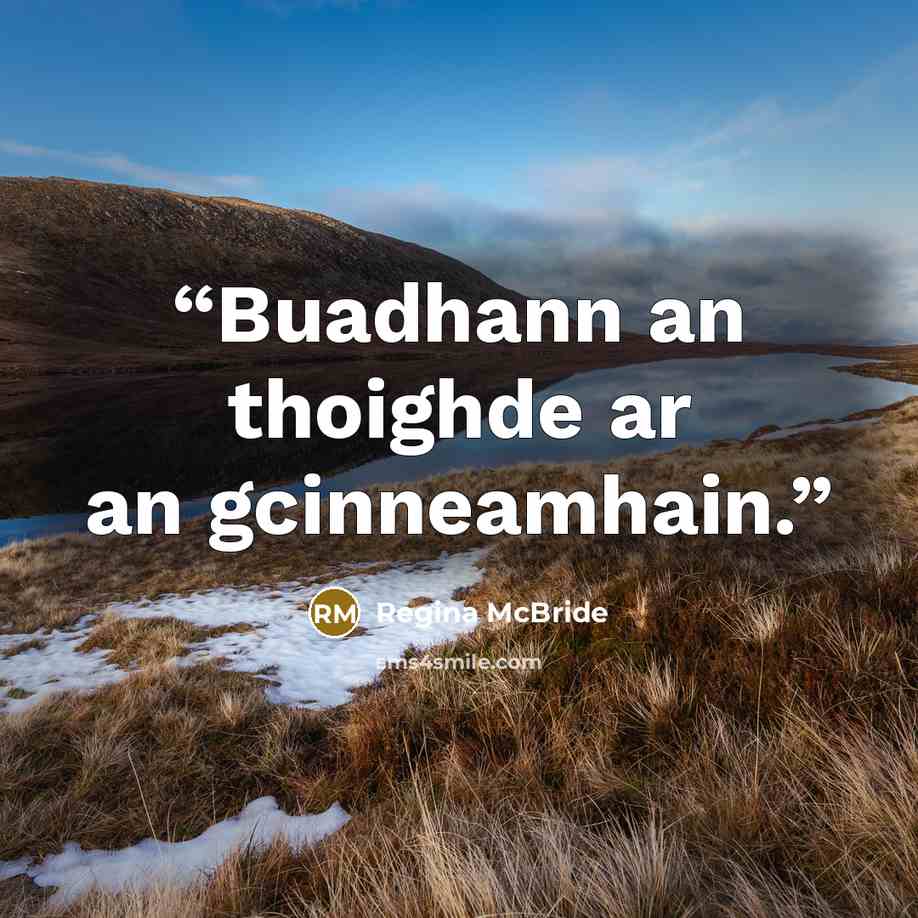 “Buadhann an thoighde ar an gcinneamhain.” quote by Regina McBride