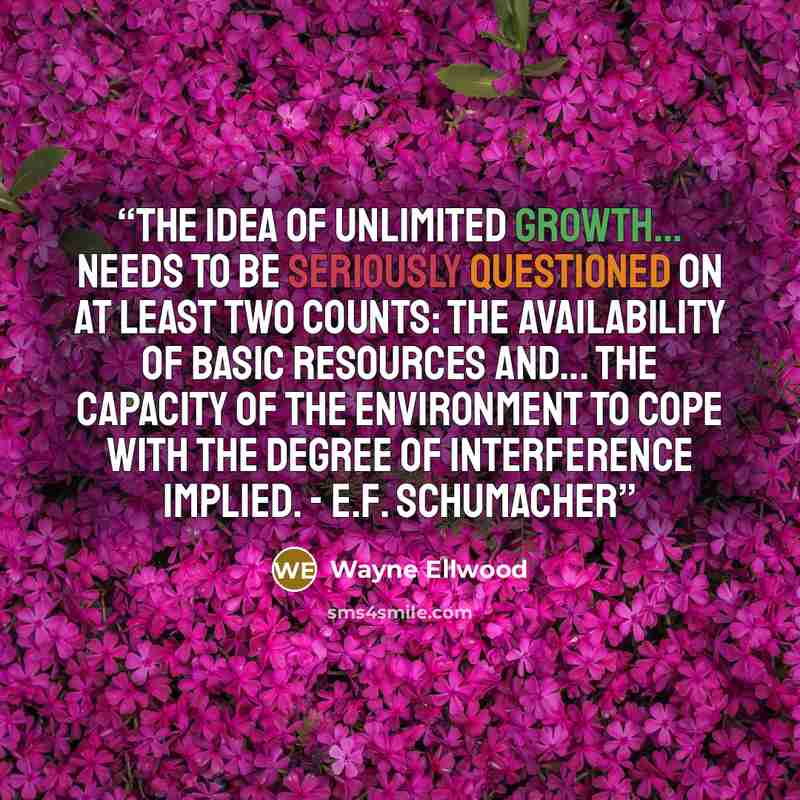 “The idea of unlimited growth... needs to be seriously questioned on at least two counts: the availability of basic resources and... the capacity of the environment to cope with the degree of interference implied. - E.F. Schumacher” quote by Wayne Ellwood