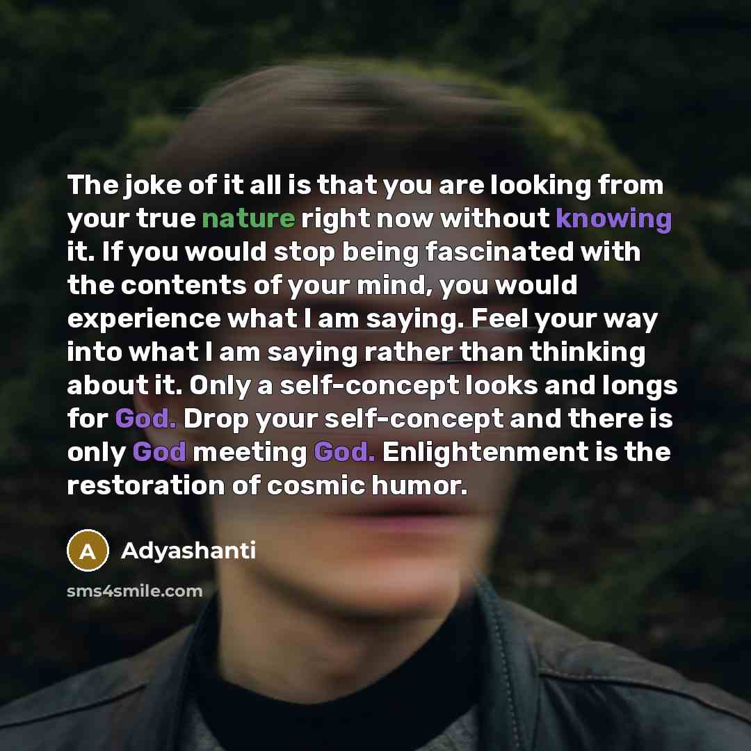 “The joke of it all is that you are looking…” quote by Adyashanti
