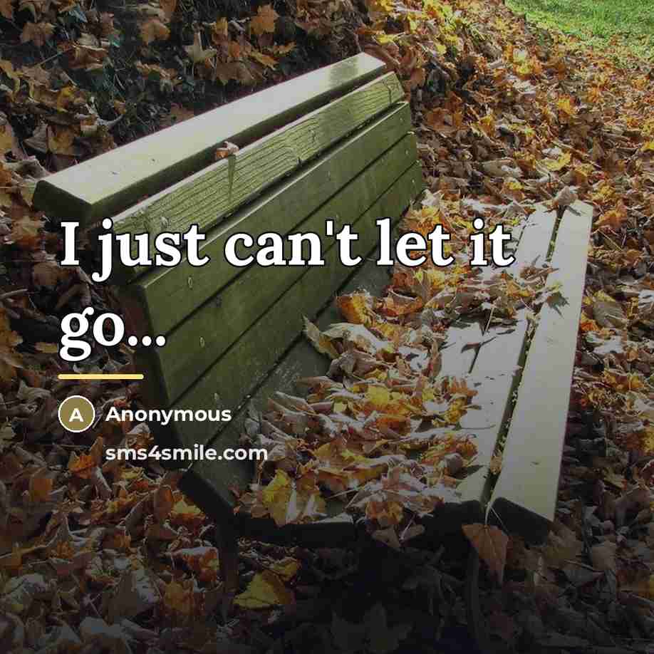“I just can't let it go...…” quote by Anonymous