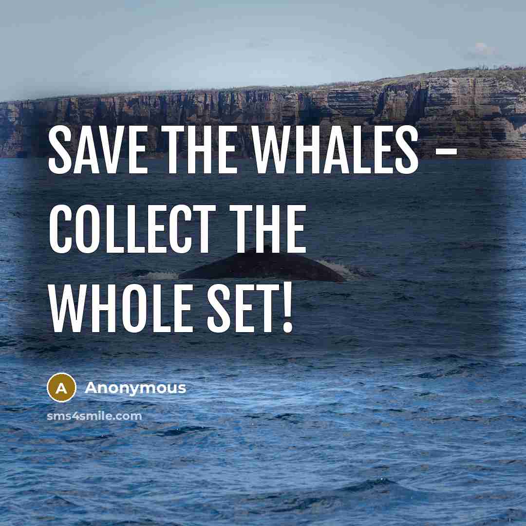 “Save the Whales - Collect the whole set!” quote by Anonymous