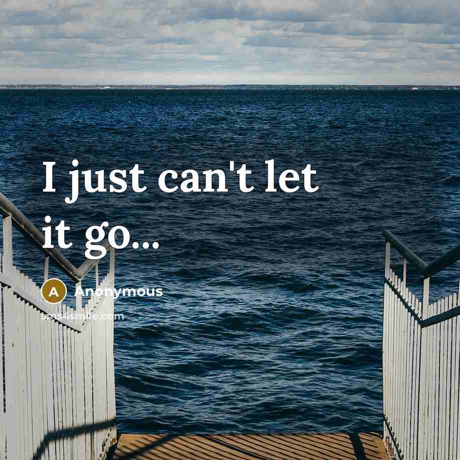 “I just can't let it go...” quote by Anonymous