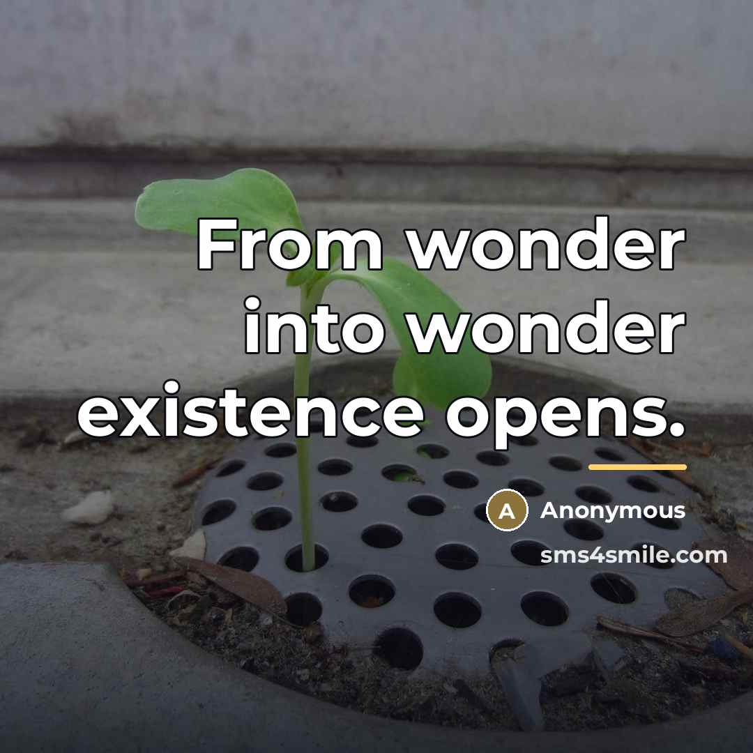 “From wonder into wonder existence opens.…” quote by Anonymous