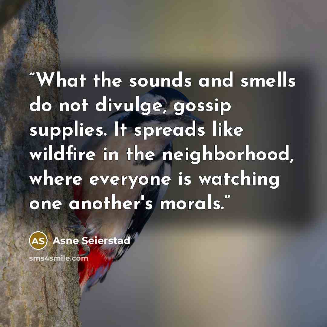 “What the sounds and smells do not divulge, gossip supplies. It spreads like wildfire in the neighborhood, where everyone is watching one another's morals.” quote by Asne Seierstad