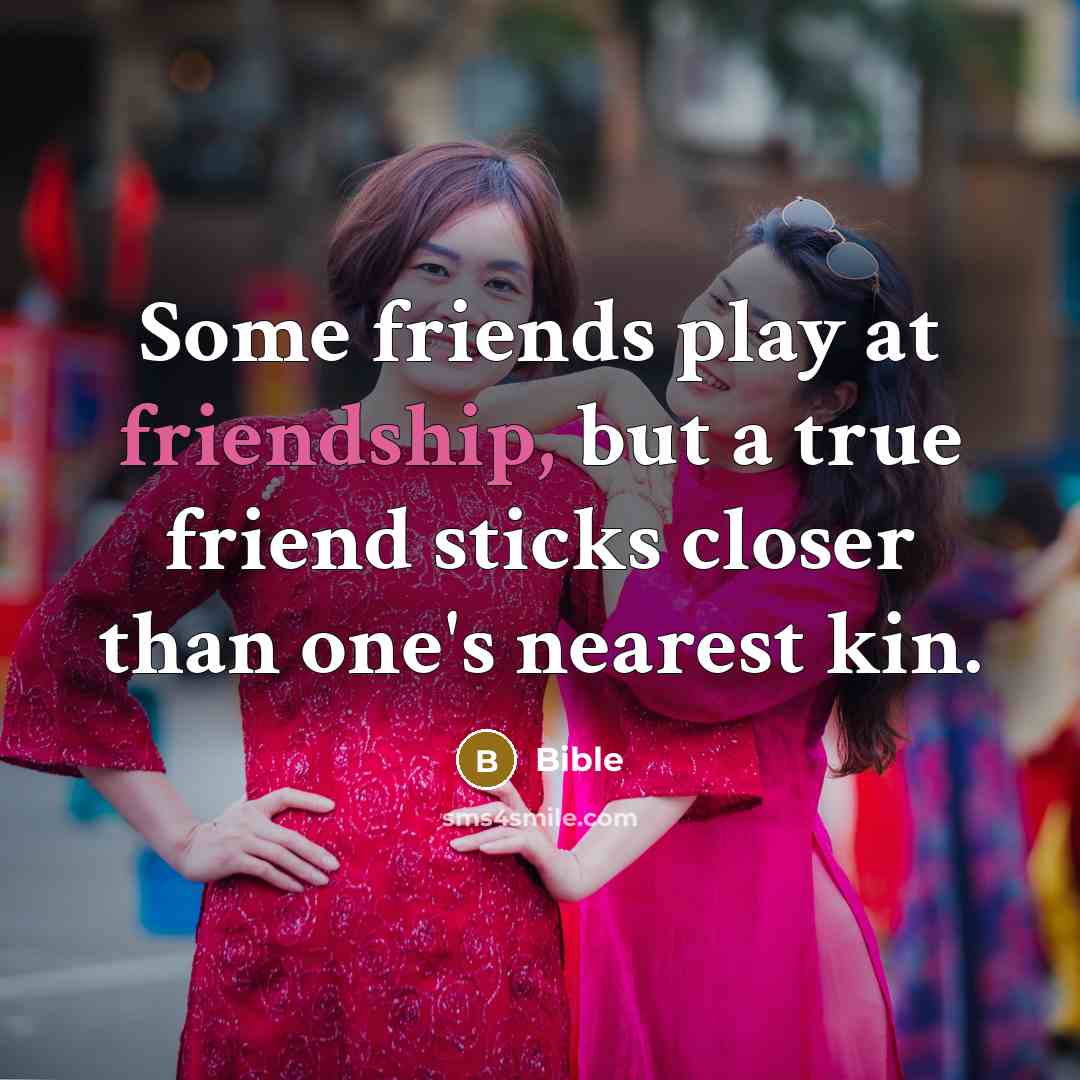 “Some friends play at friendship, but a true friend sticks…” quote by Bible