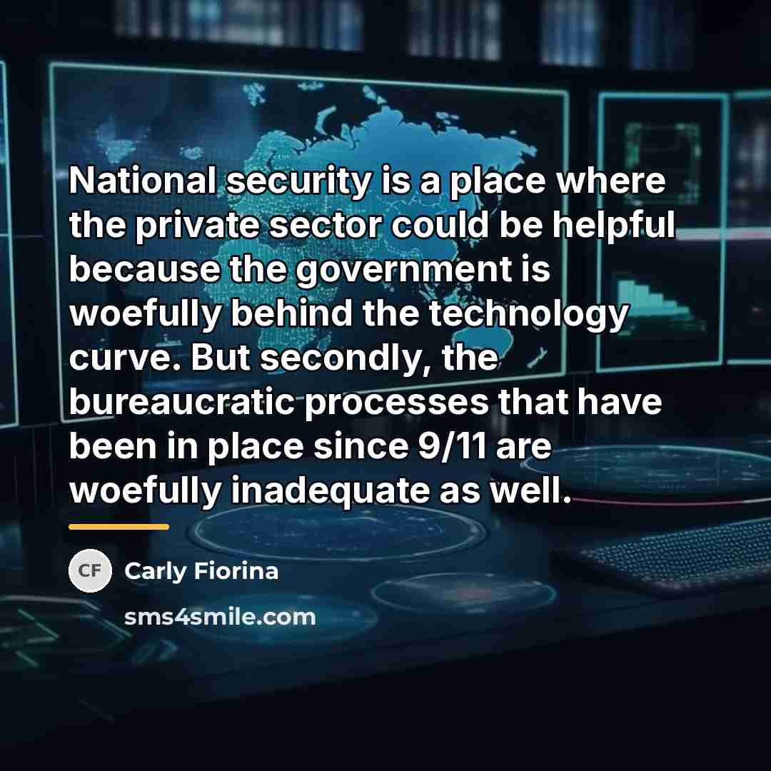 “National security is a place where the private sector could…” quote by Carly Fiorina