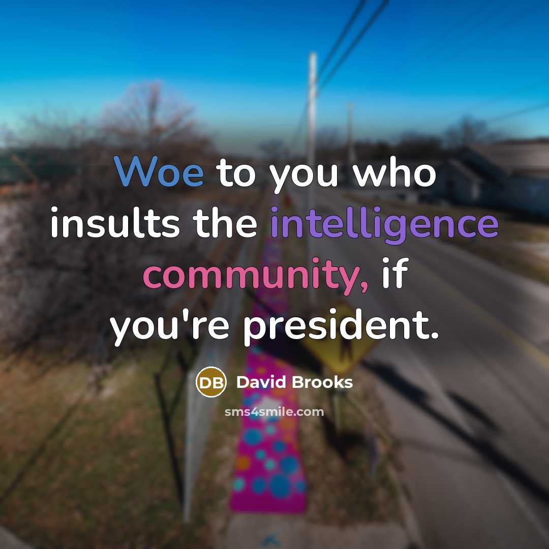 “Woe to you who insults the intelligence community, if you're…” quote by David Brooks