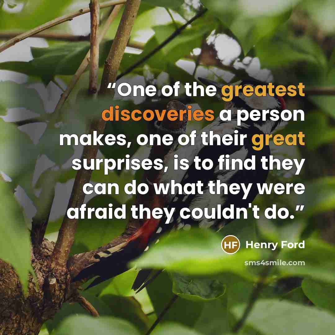 “One of the greatest discoveries a person makes, one of their great surprises, is to find they can do what they were afraid they couldn't do.” quote by Henry Ford