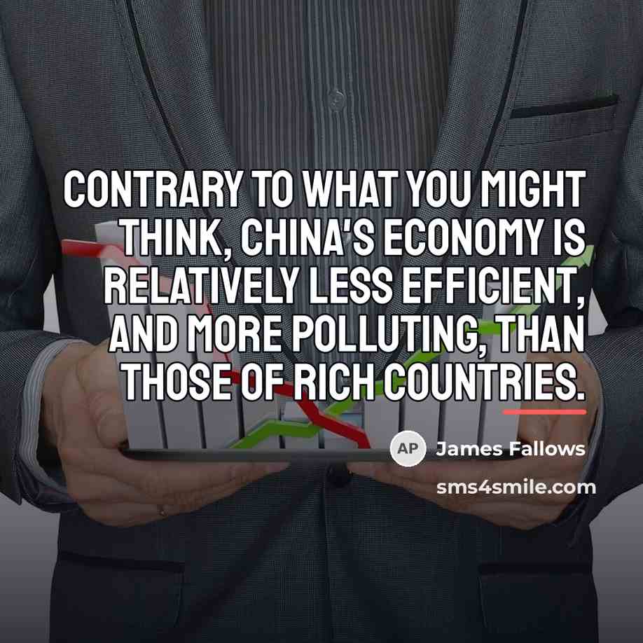 “Contrary to what you might think, China's economy is relatively…” quote by James Fallows