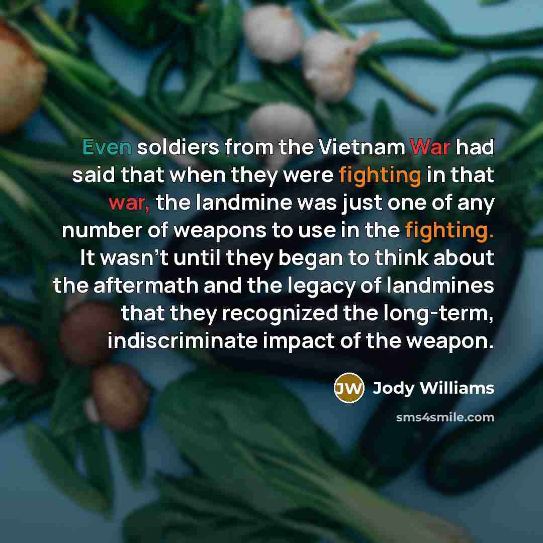 “Even soldiers from the Vietnam War had said that when…” quote by Jody Williams