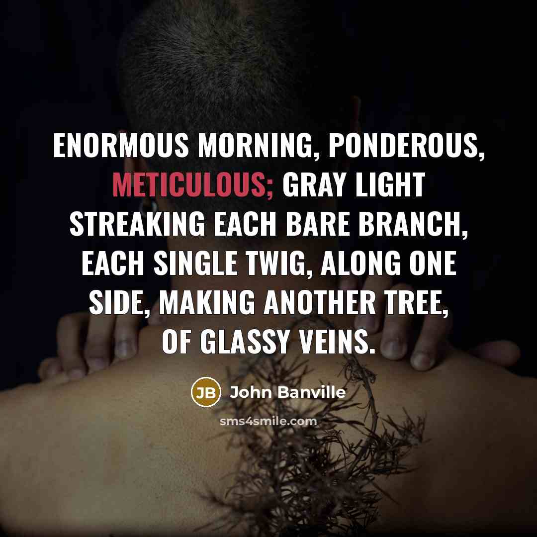 “Enormous morning, ponderous, meticulous; gray light streaking each bare branch,…” quote by John Banville