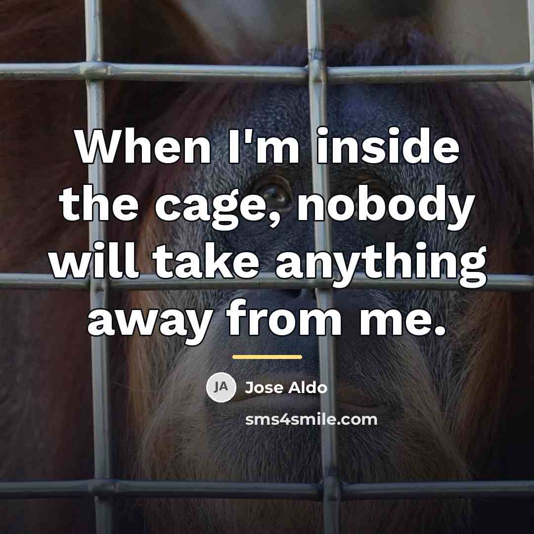“When I'm inside the cage, nobody will take anything away…” quote by Jose Aldo
