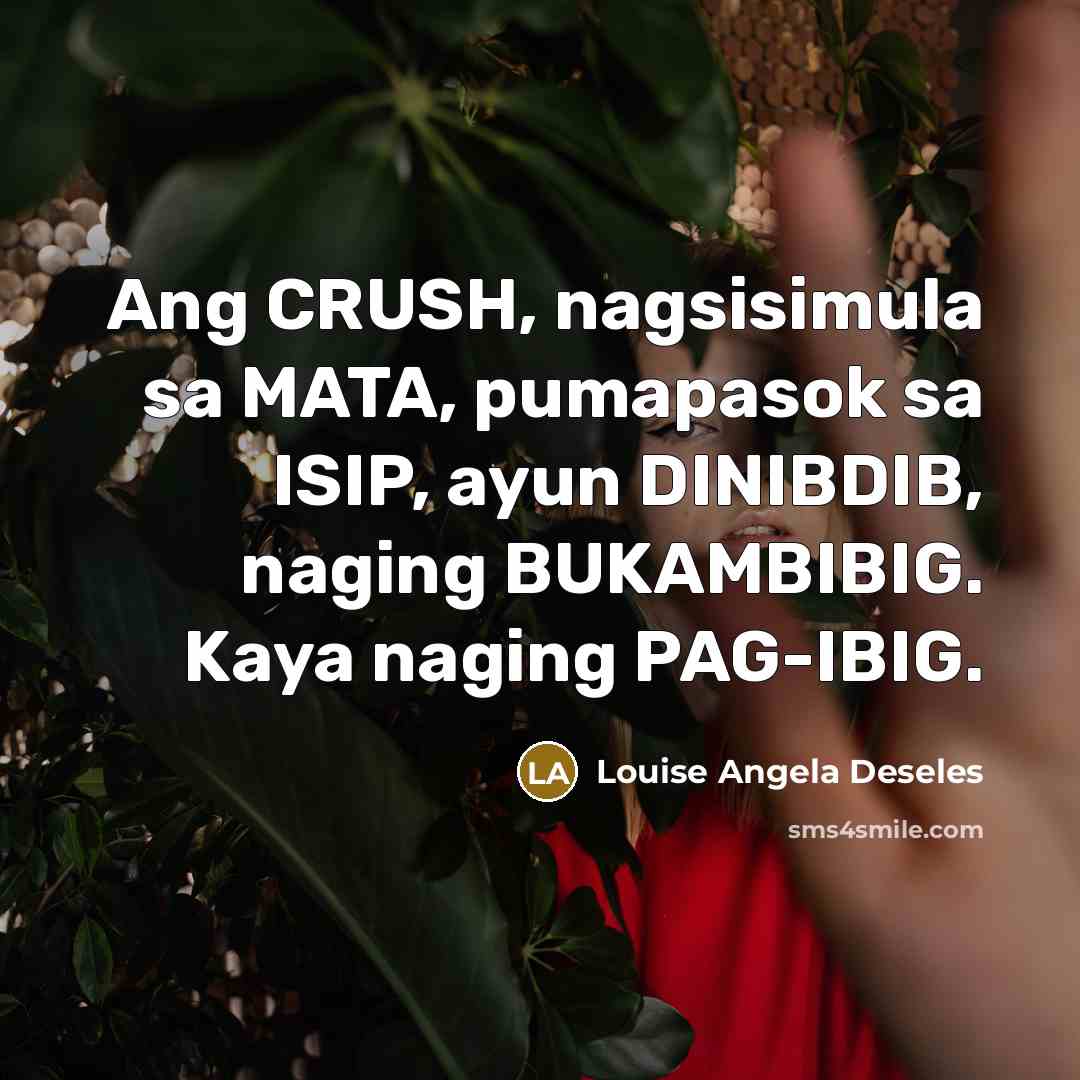 “Ang CRUSH, nagsisimula sa MATA, pumapasok sa ISIP, ayun DINIBDIB,…” quote by Louise Angela Deseles