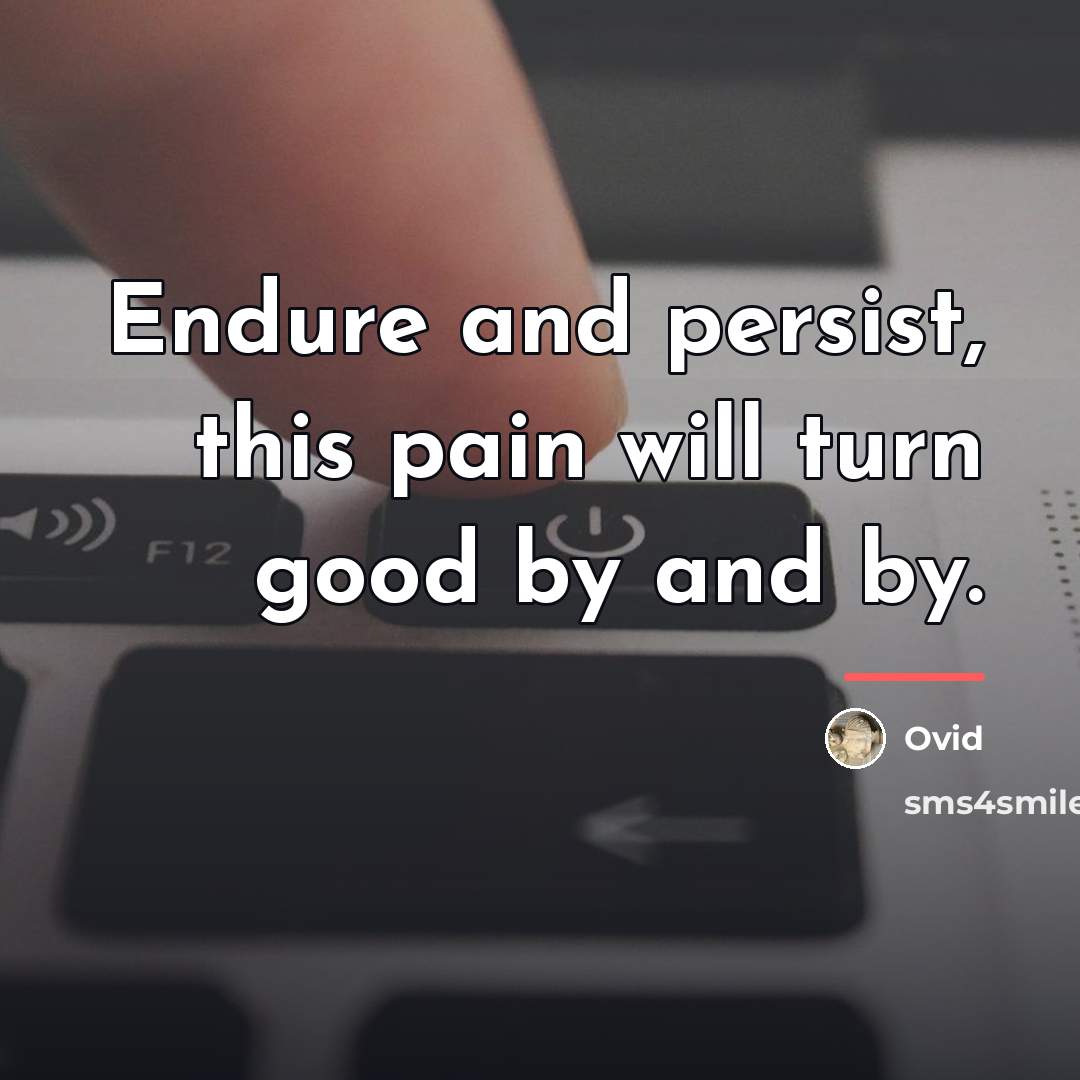 “Endure and persist, this pain will turn good by and…” quote by Ovid