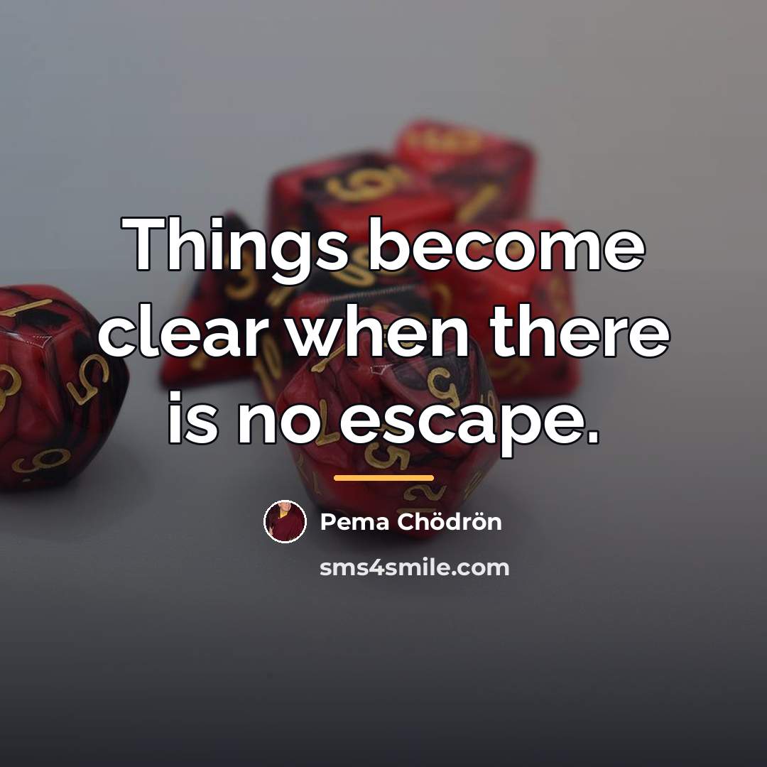 “Things become clear when there is no escape.…” quote by Pema Chodron
