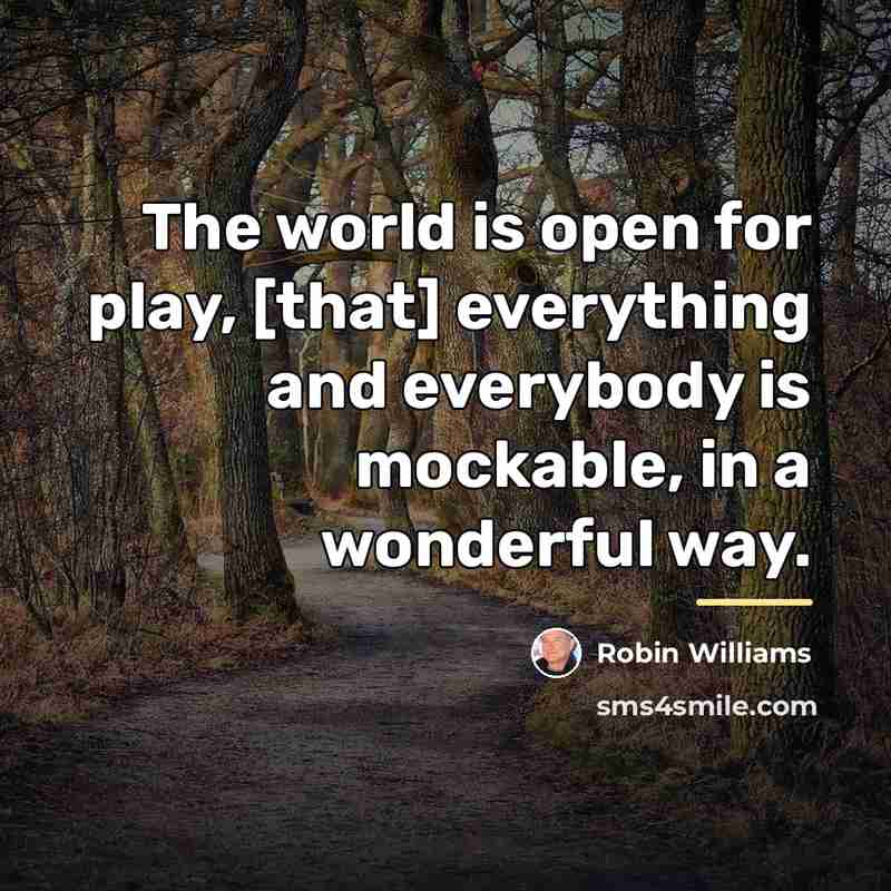 “The world is open for play, [that] everything and everybody…” quote by Robin Williams
