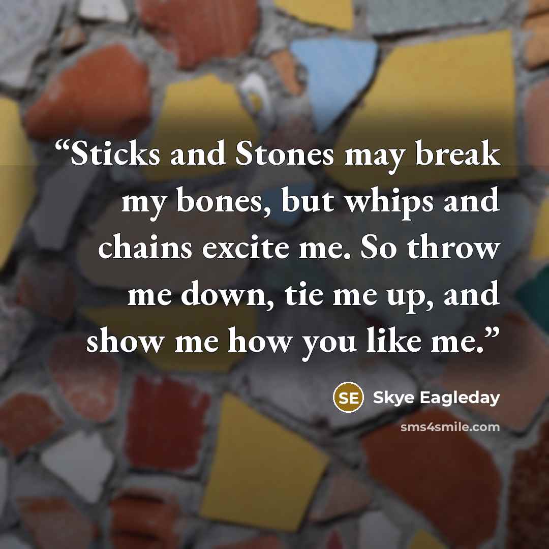 “Sticks and Stones may break my bones, but whips and chains excite me. So throw me down, tie me up, and show me how you like me.” quote by Skye Eagleday