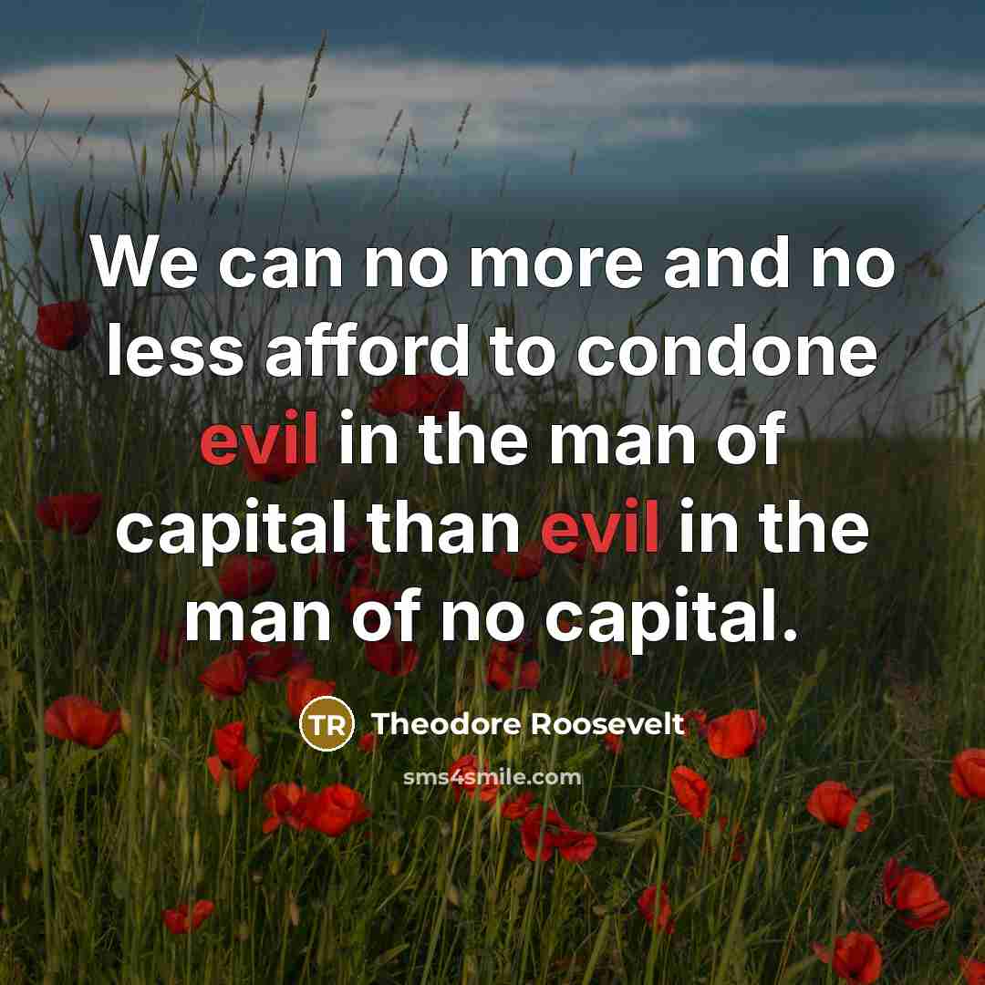 “We can no more and no less afford to condone…” quote by Theodore Roosevelt