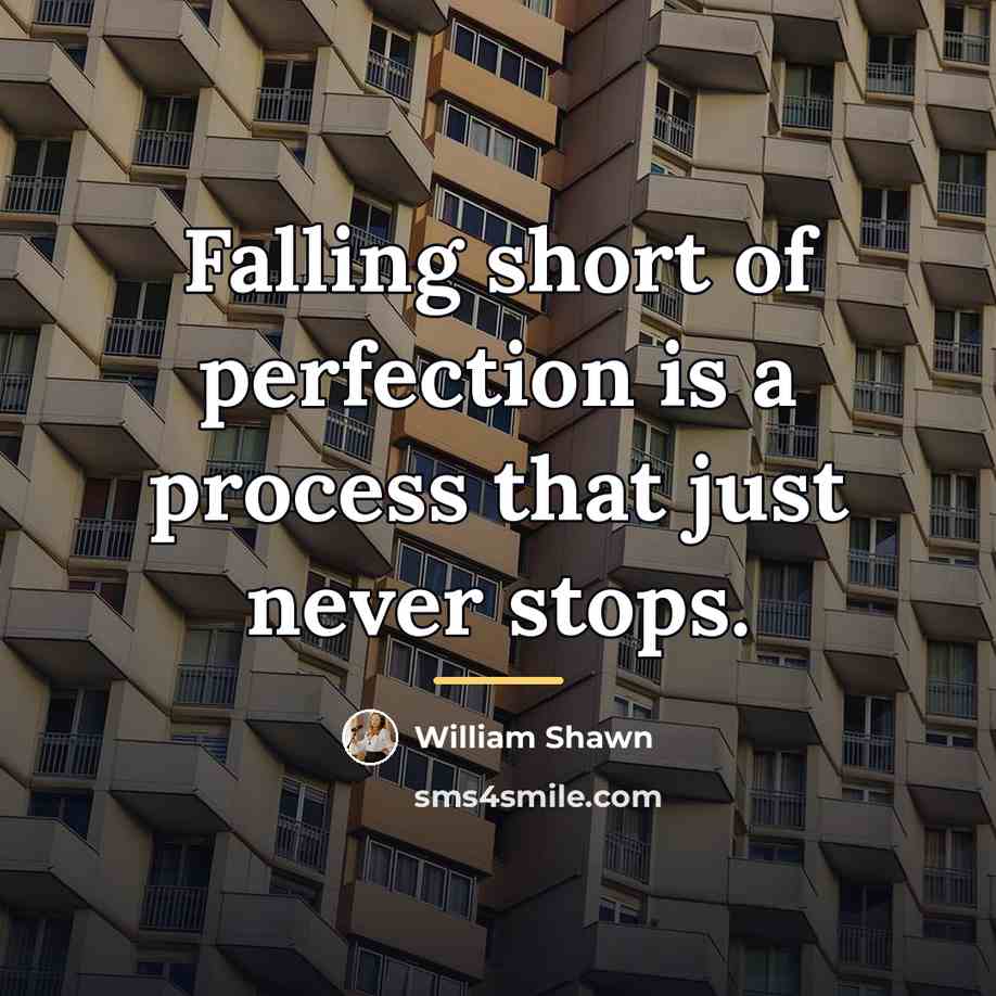 “Falling short of perfection is a process that just never…” quote by William Shawn