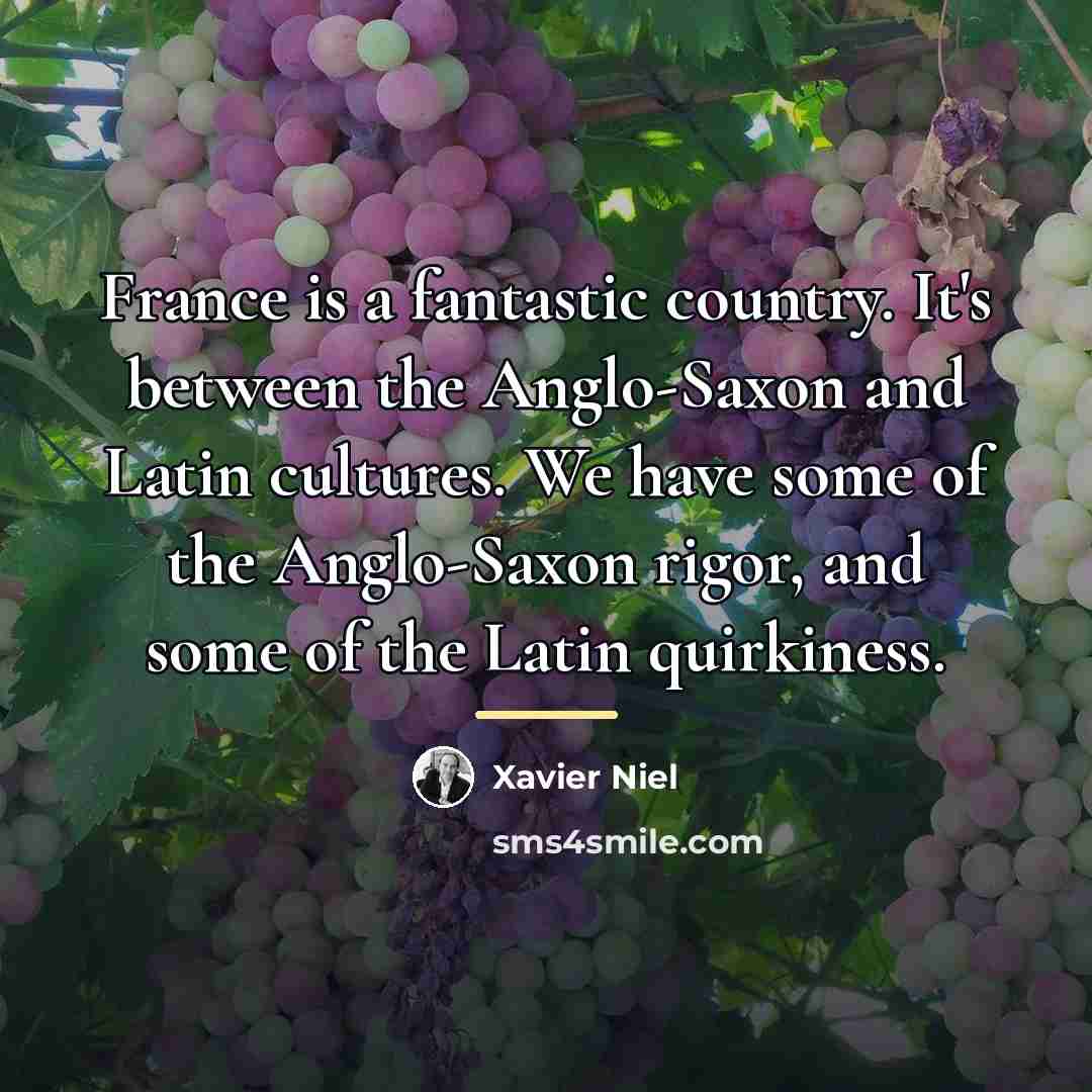 “France is a fantastic country. It's between the Anglo-Saxon and…” quote by Xavier Niel