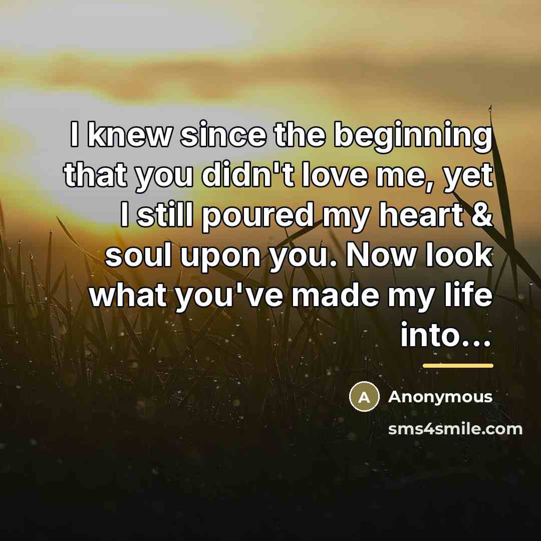 “I knew since the beginning that you didn't love me,…” quote by Anonymous