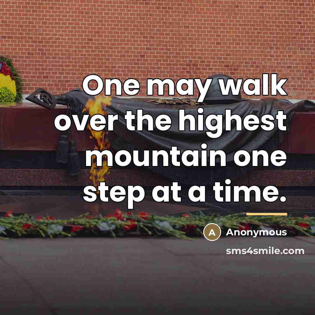 “One may walk over the highest mountain one step at…” quote by Anonymous