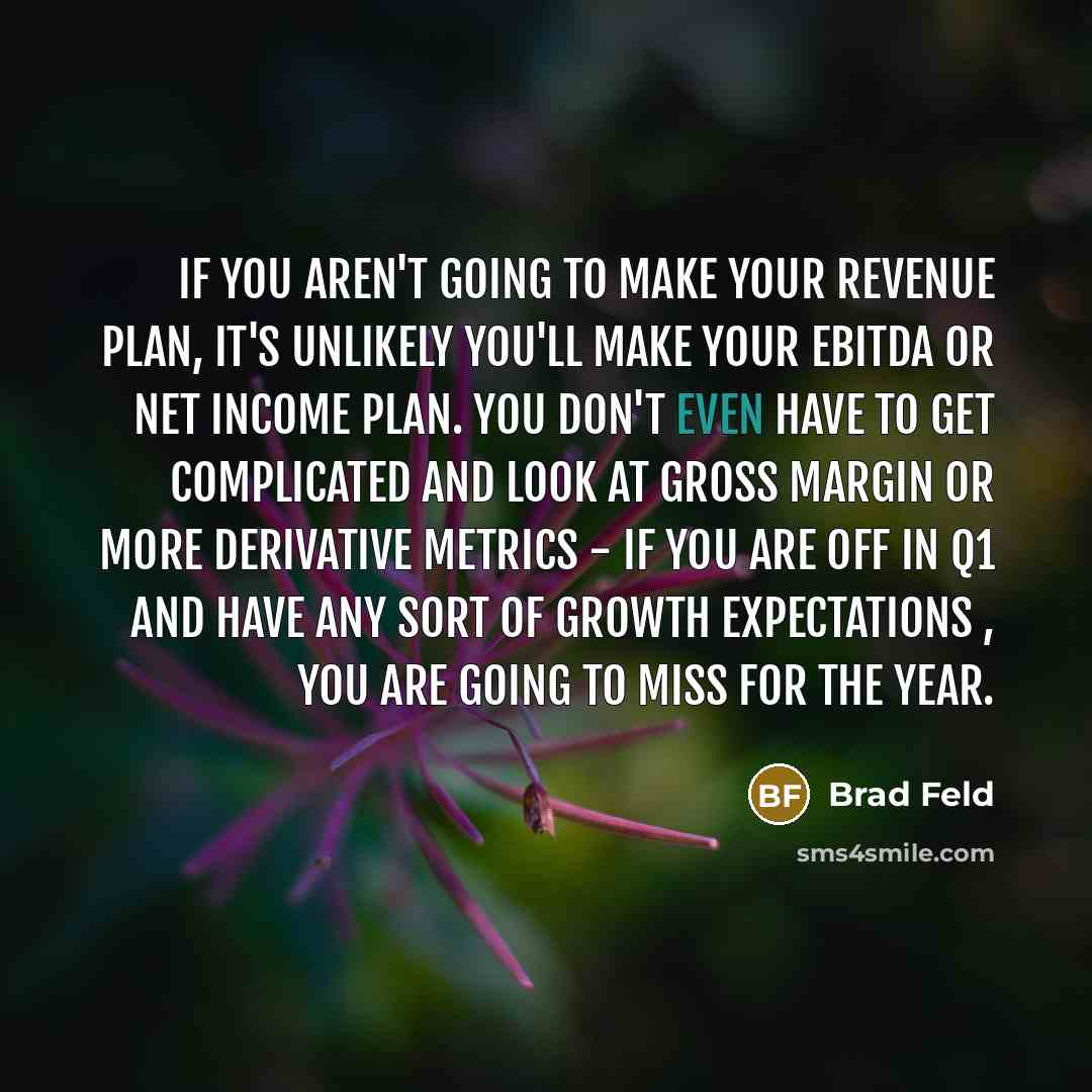 “If you aren't going to make your revenue plan, it's…” quote by Brad Feld
