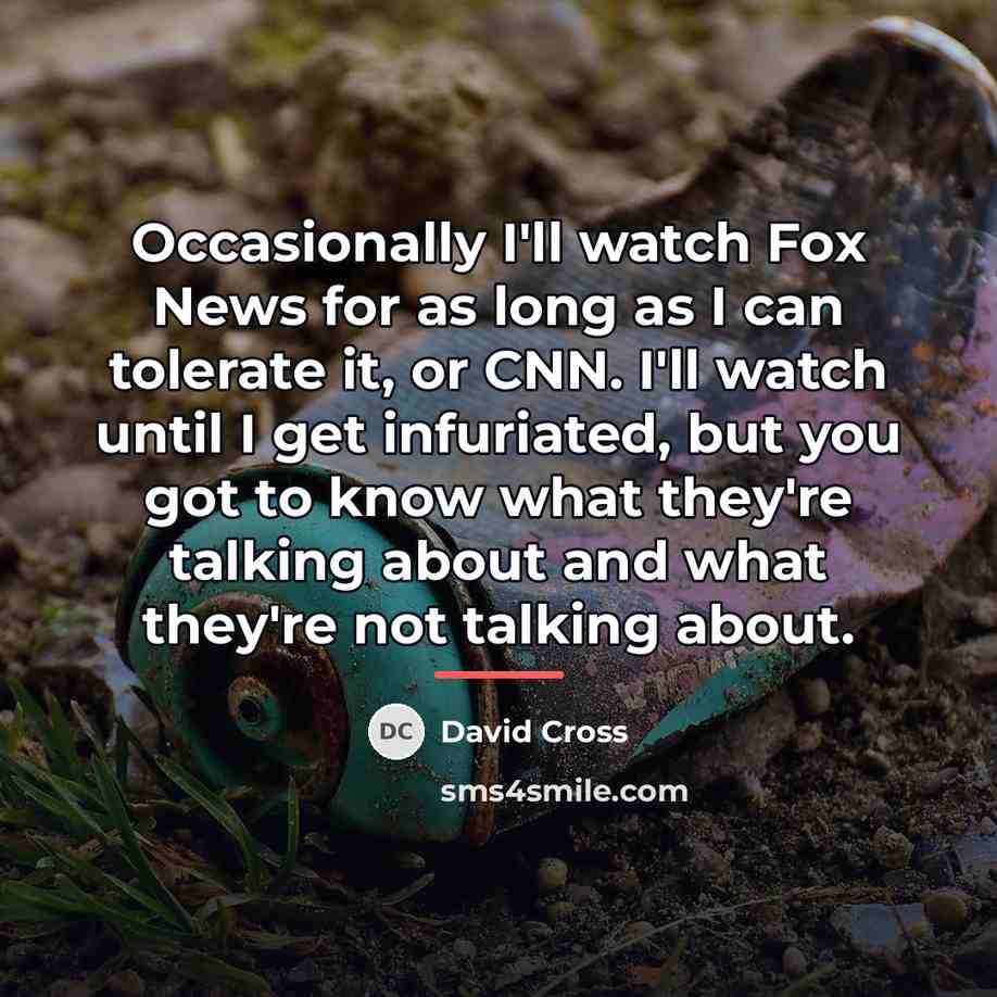 “Occasionally I'll watch Fox News for as long as I…” quote by David Cross