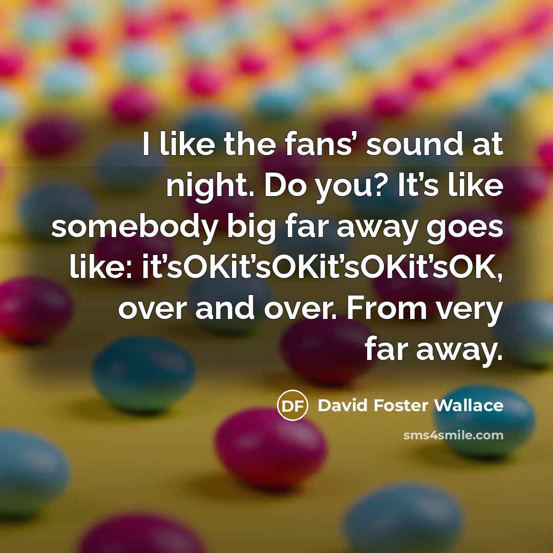 “I like the fans’ sound at night. Do you? It’s…” quote by David Foster Wallace