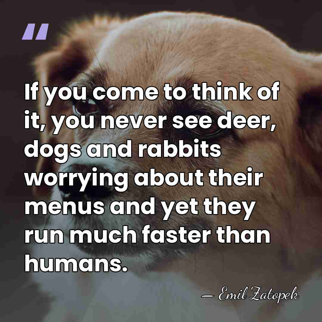 If you come to think of it, you never see deer, dogs&hellip; - Emil Zatopek