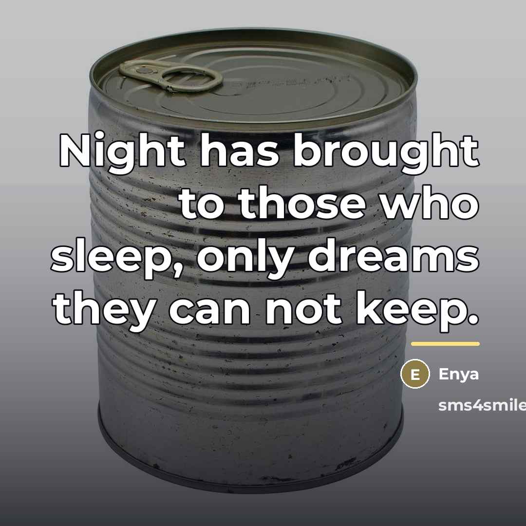 “Night has brought to those who sleep, only dreams they…” quote by Enya