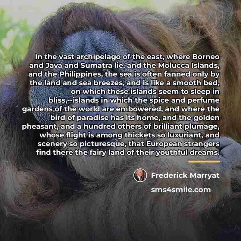 “In the vast archipelago of the east, where Borneo and…” quote by Frederick Marryat
