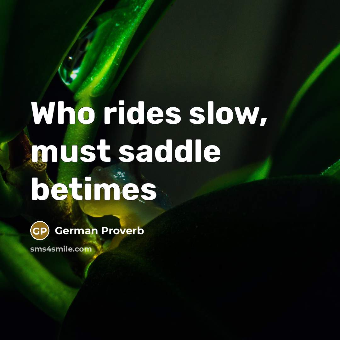 “Who rides slow, must saddle betimes…” quote by German Proverb
