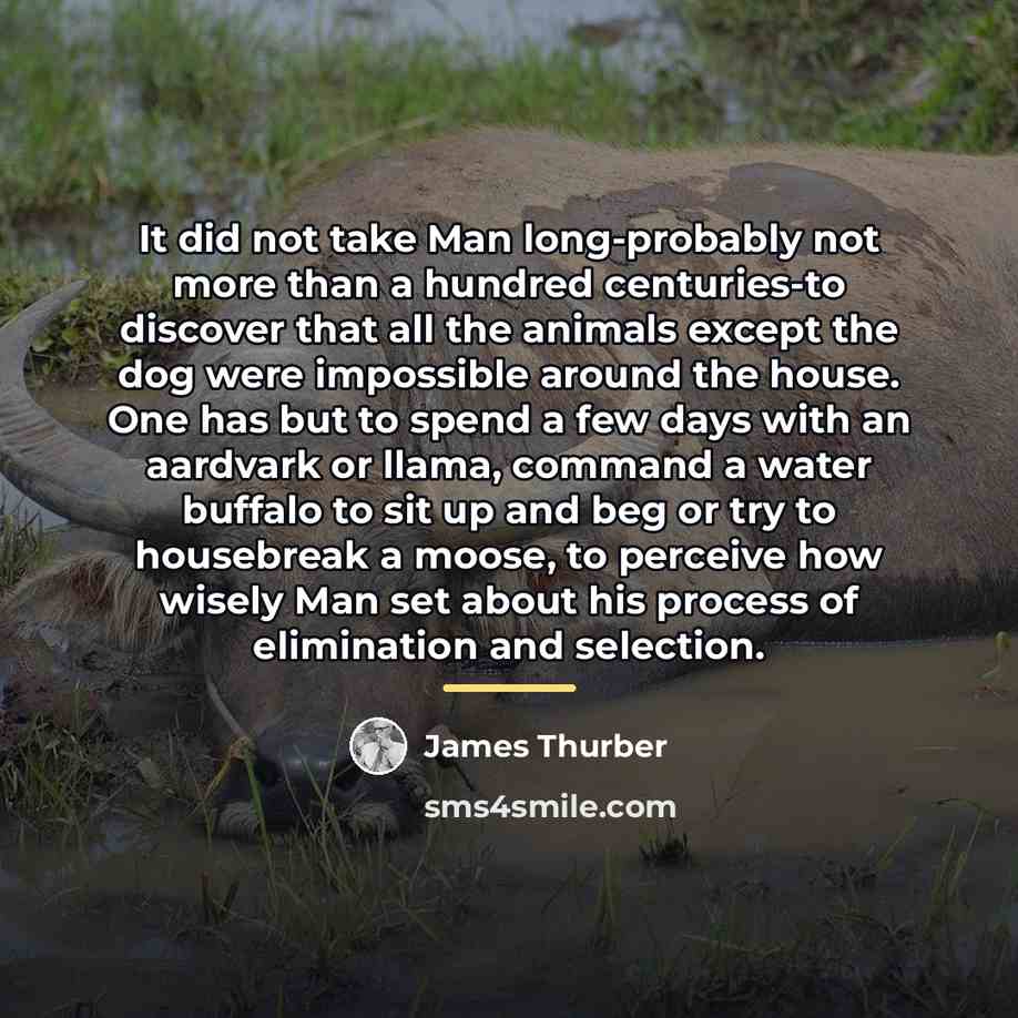 “It did not take Man long-probably not more than a…” quote by James Thurber
